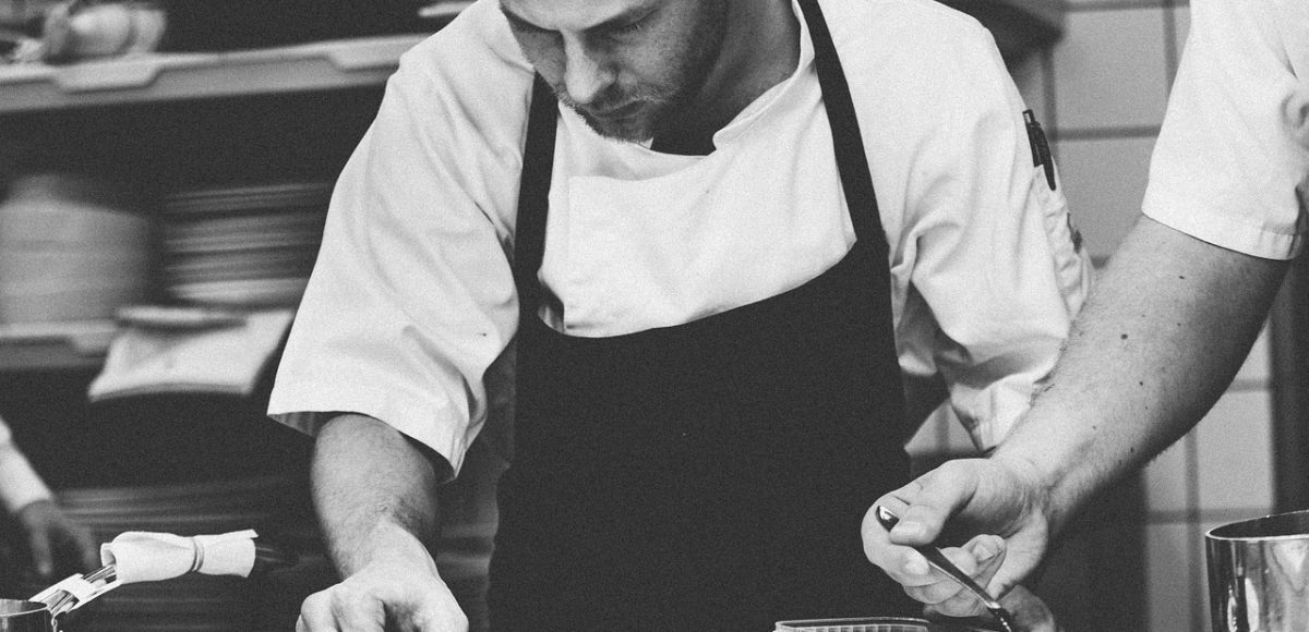 carrière professionnelle