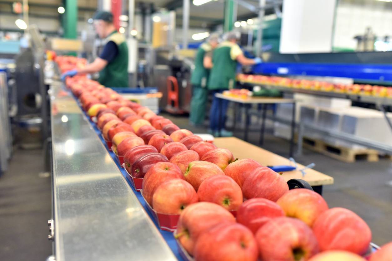 automatisation des machines dans l'agroalimentaire