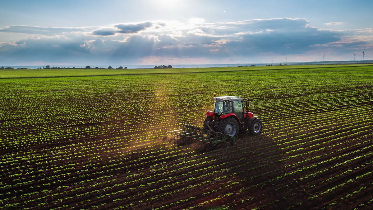 EARL (Exploitation agricole à responsabilité limitée) : définition